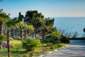 Никитский дворец