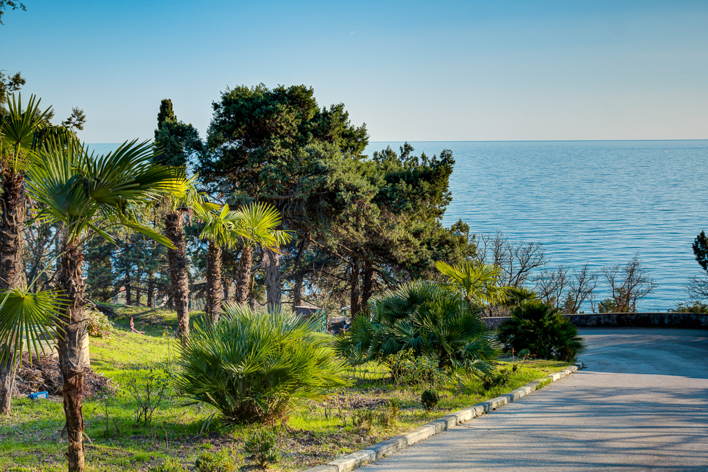 Никитский дворец