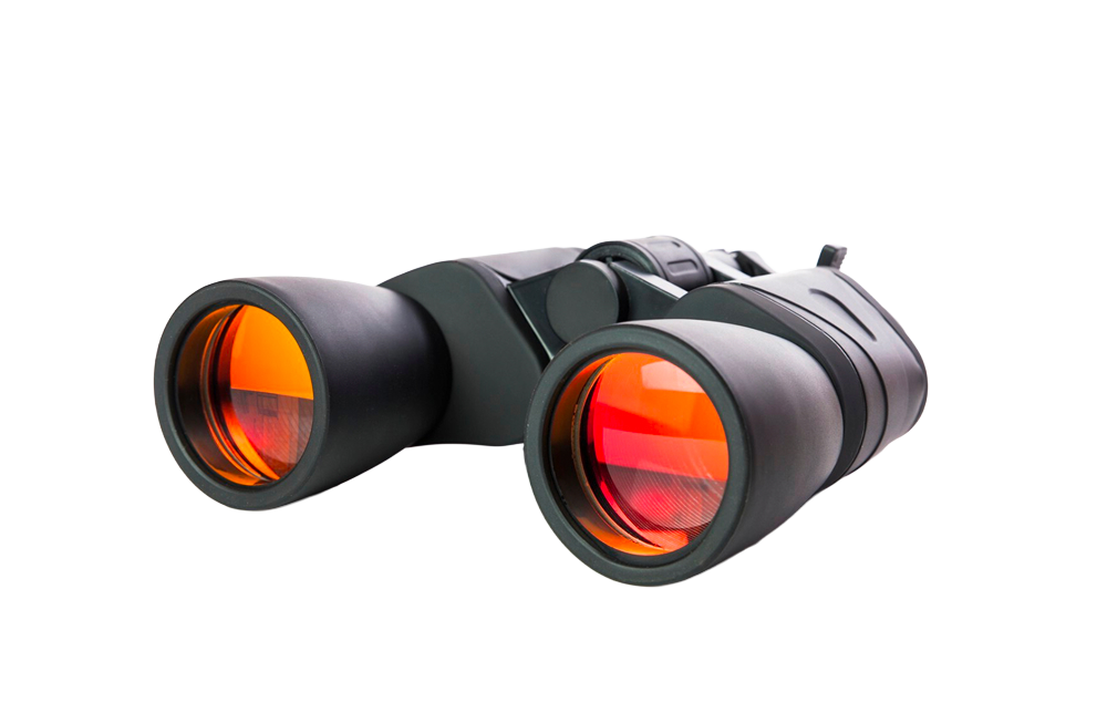 Никитский дворец