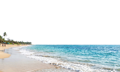 Никитский дворец